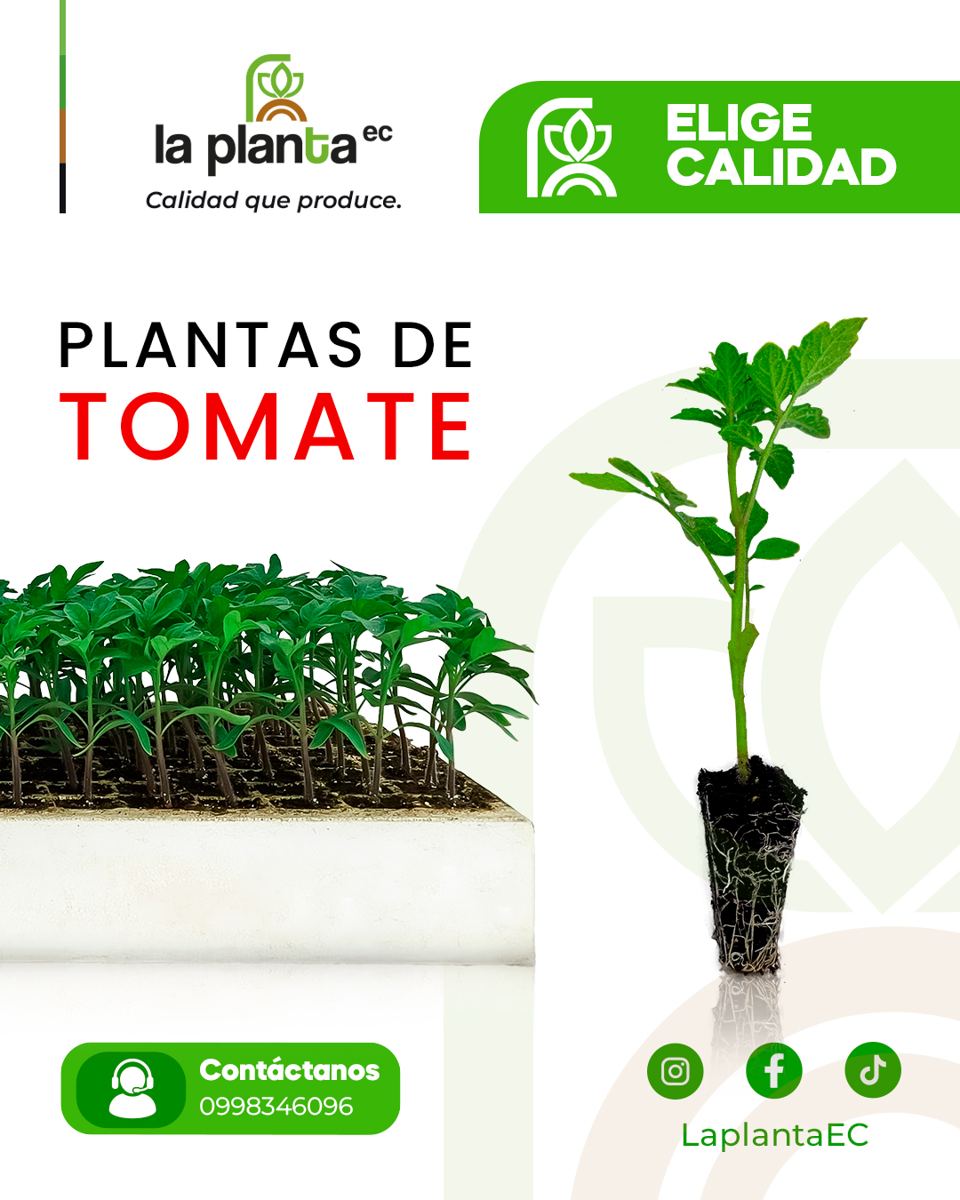 Tomate La Planta EC