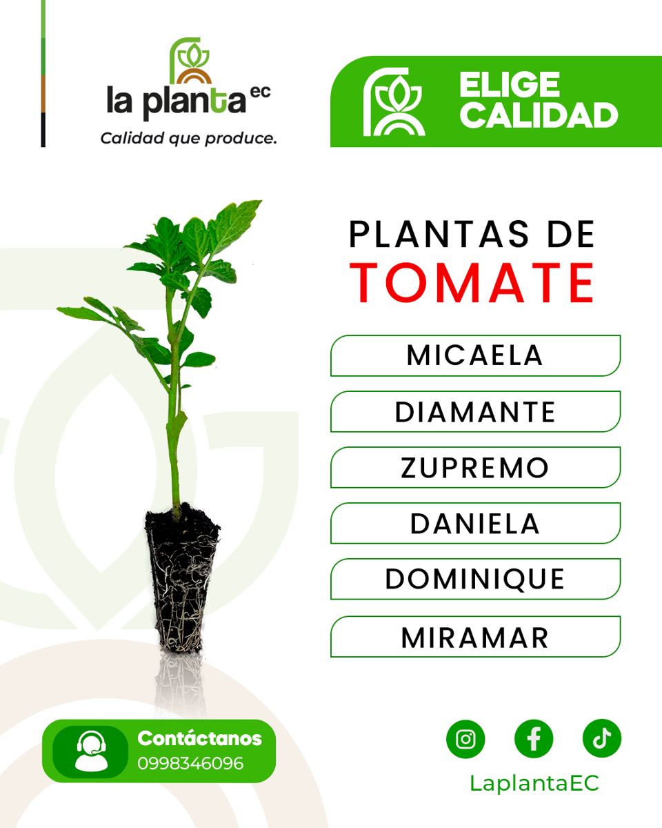 Galería de plantas La Planta EC